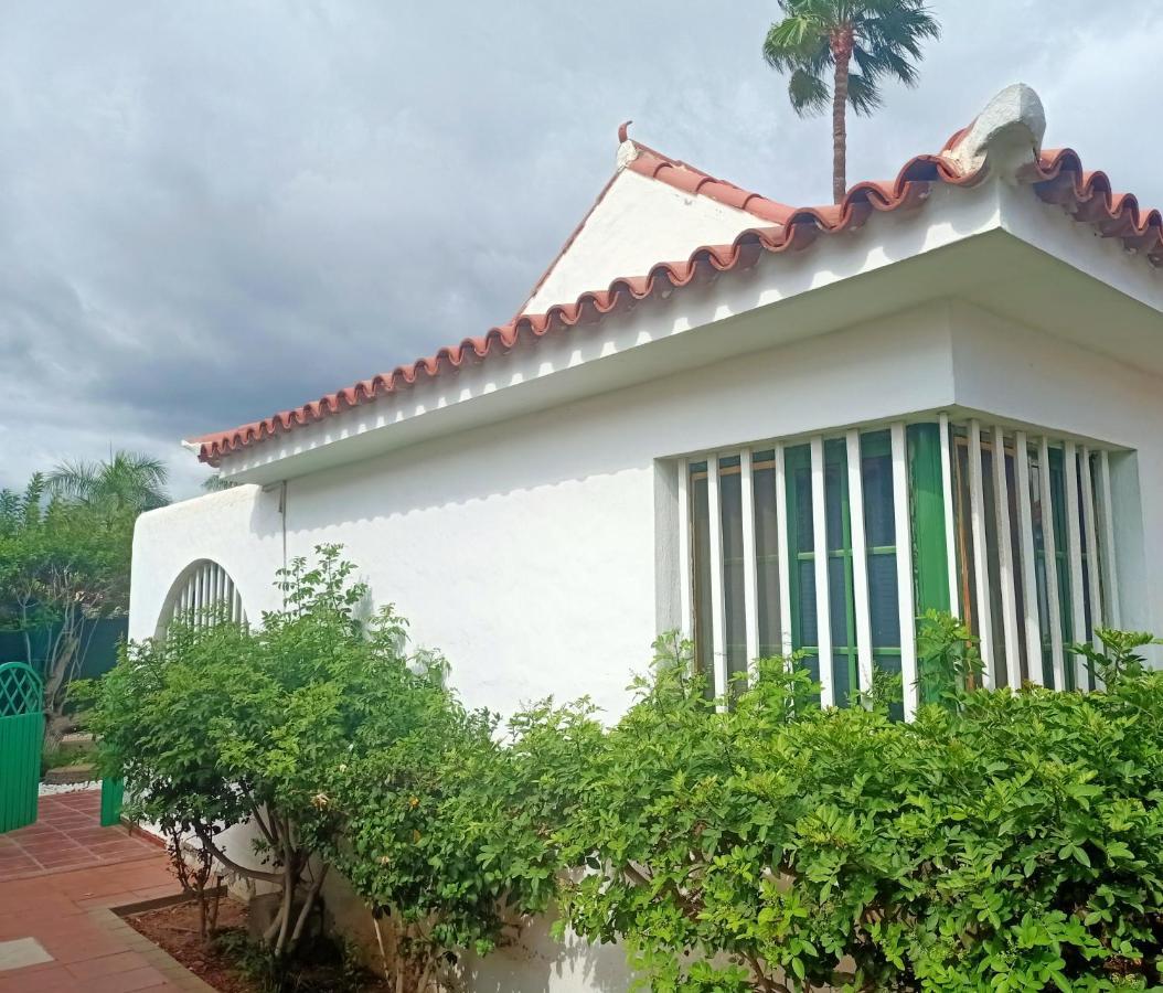 Bungalow En El Sur De Gran Canaria ラスパルマス・デ・グランカナリア エクステリア 写真